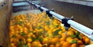 Lavar Fomesa Fruitech