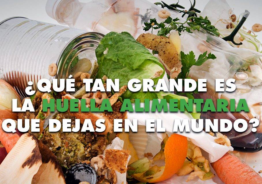 El derroche de alimentos de los españoles