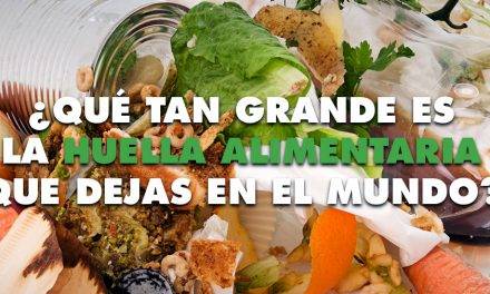 El derroche de alimentos de los españoles