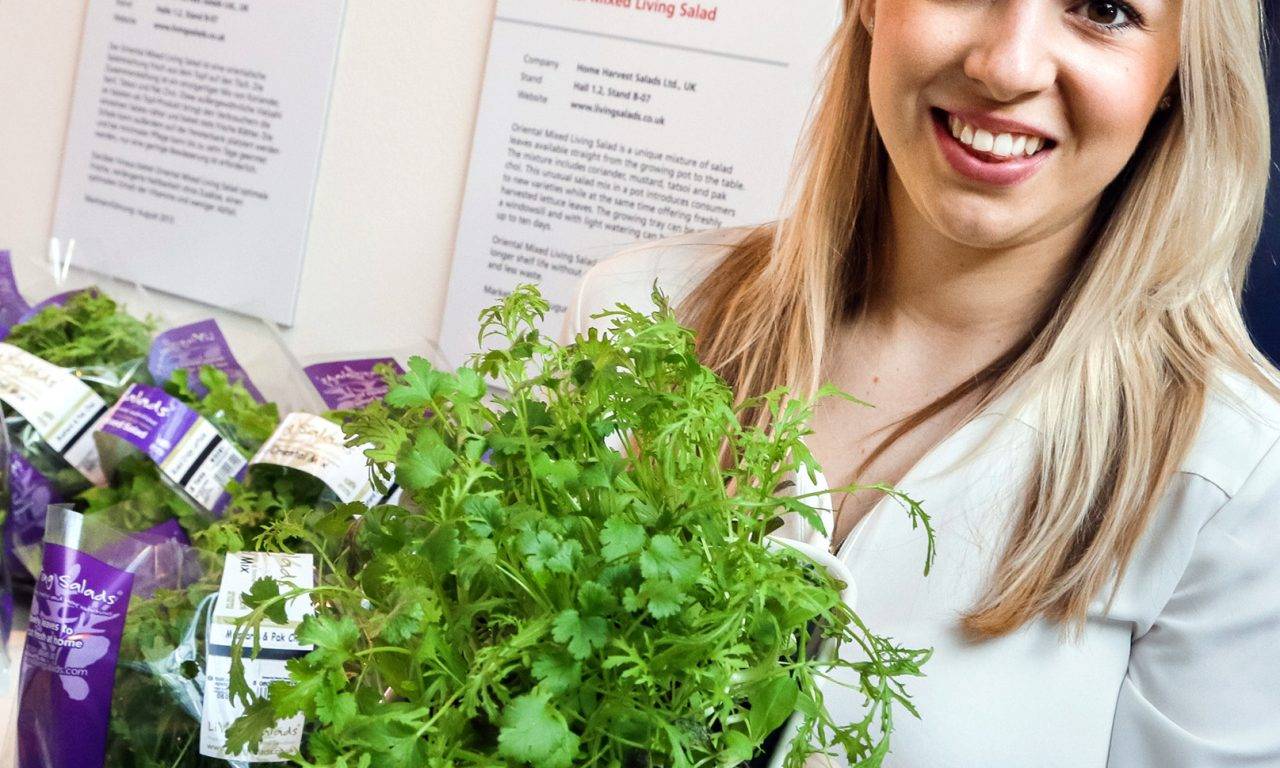 Las hierbas arómaticas mejor locales e innovadoras