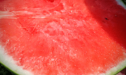 Elegir una sandía, cortarla para niños y una opción a invitados