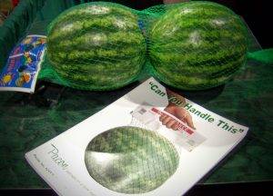 *** Local Caption *** PMA 2005