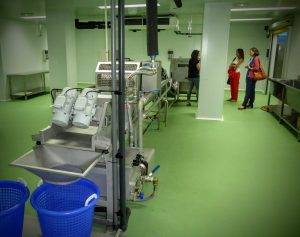 Lavar, cortar y envasado de verduras en IV Gama, IRTA