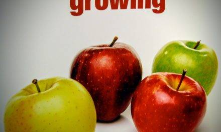 Los españoles importan una de cada dos manzanas de las que se comen