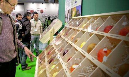 En manzanas los aspectos de calidad, variedades y la eficiencia del marketing y logística son determinantes