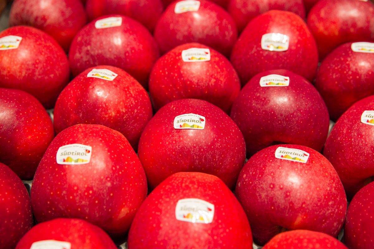 Val Venosta calibrado automático de las manzanas