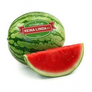 Sandia Reina Linda