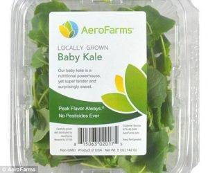 aerofarms kale