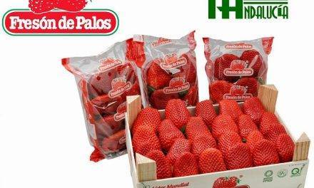 Para “construir” una marca mejor crear una histora