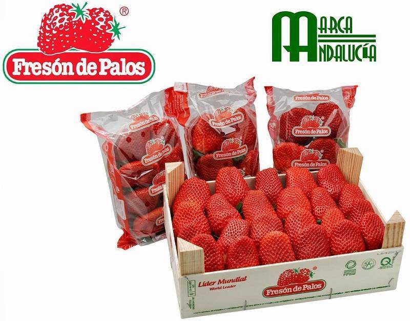 Para “construir” una marca mejor crear una histora