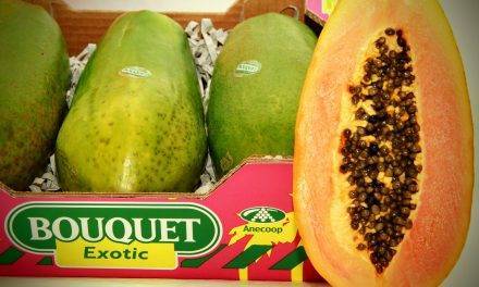 Anecoop comercializará papaya con “Exóticos del Sur”