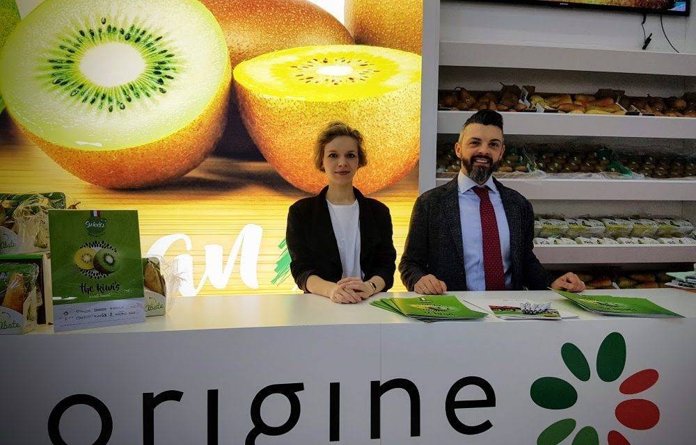 El kiwi Sweeki desembarca en España