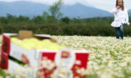 Asimetrías en la cadena alimentaria, ¿cómo reducirlas?