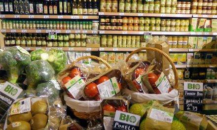 La moda vegana quiere aprender de los casos de éxito en los alimentos procesados del ‘orgánico o bio’ (I)