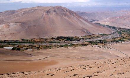 Agroalimentación y sociedad, ¿cómo ganarán el futuro los modernos agricultores?