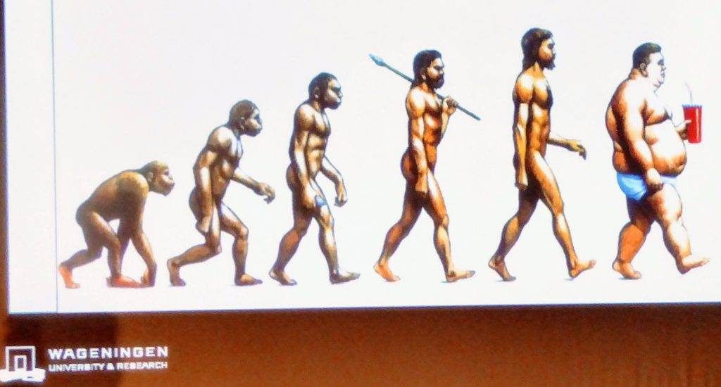 sobrealimentación IRTA