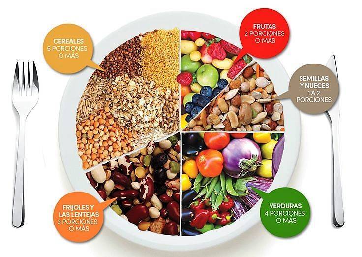 Una alimentación tan solo vegetariana, ¿es posible?
