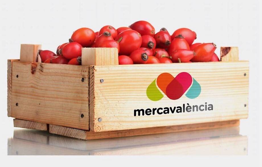 Mercavalencia organiza una feria de reparto sostenible