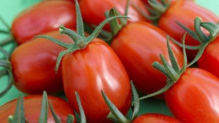 En la frutería uno de cada 3 tomates son snack