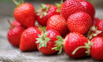 Interfresa te anima a refrescarte este verano