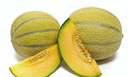 Melones de confianza en Kernel