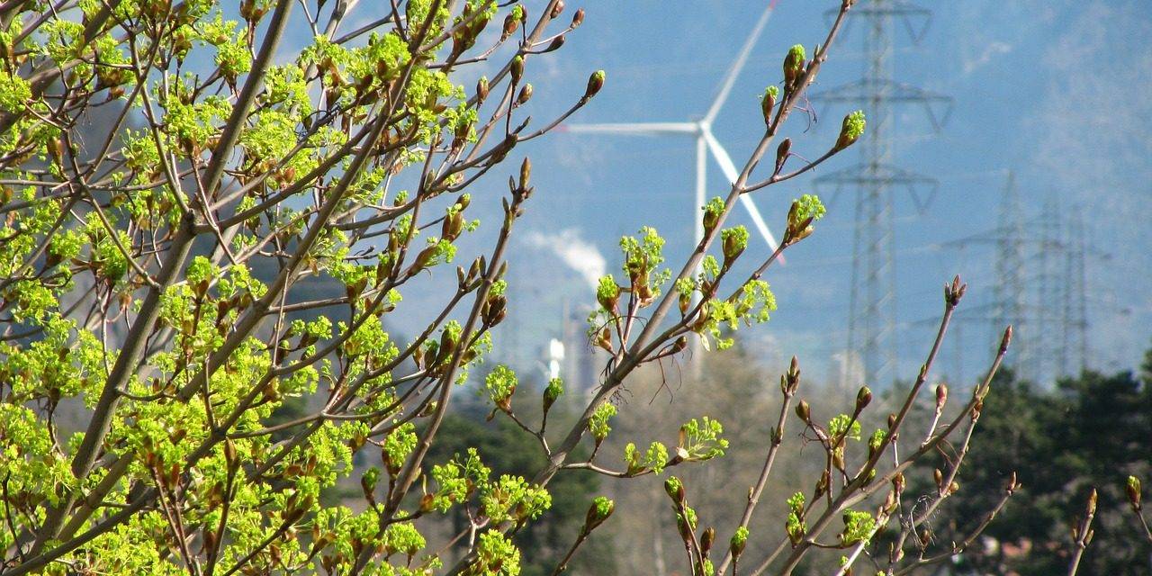 Medioambiente, Ciudad Verde y alimentación sostenible