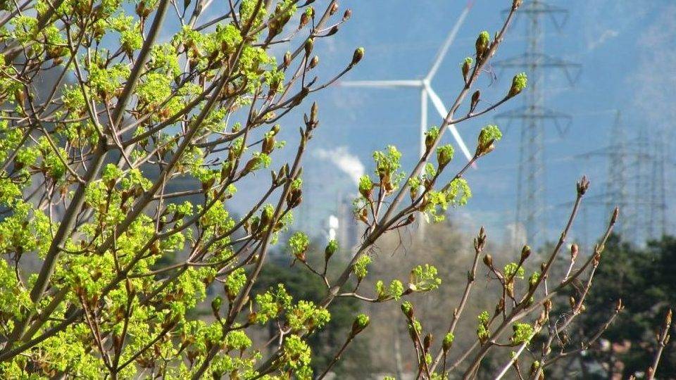 medioambiente 223