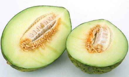 Diversidad y formas de los melones