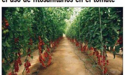 Un vídeo con un mar de razones a favor de la huerta de Almería