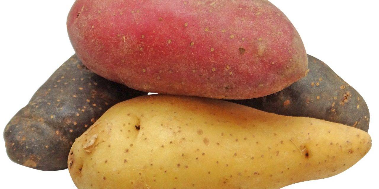 Las patatas y el cambio climático