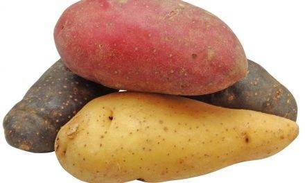 Las patatas y el cambio climático