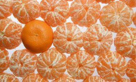 La asociación de productores de mandarina ORRI crea un geoportal de información en tiempo real