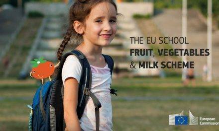 Promoción de frutas y verduras, ideas de verano para todo el año