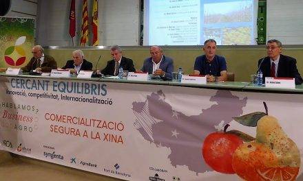 Las OPFH como modelo europeo para la mejora de la eficiencia del comercio de frutas y hortalizas