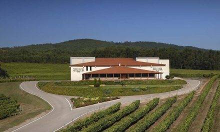 Vinos saludables con más antioxidantes a través de un nuevo proceso