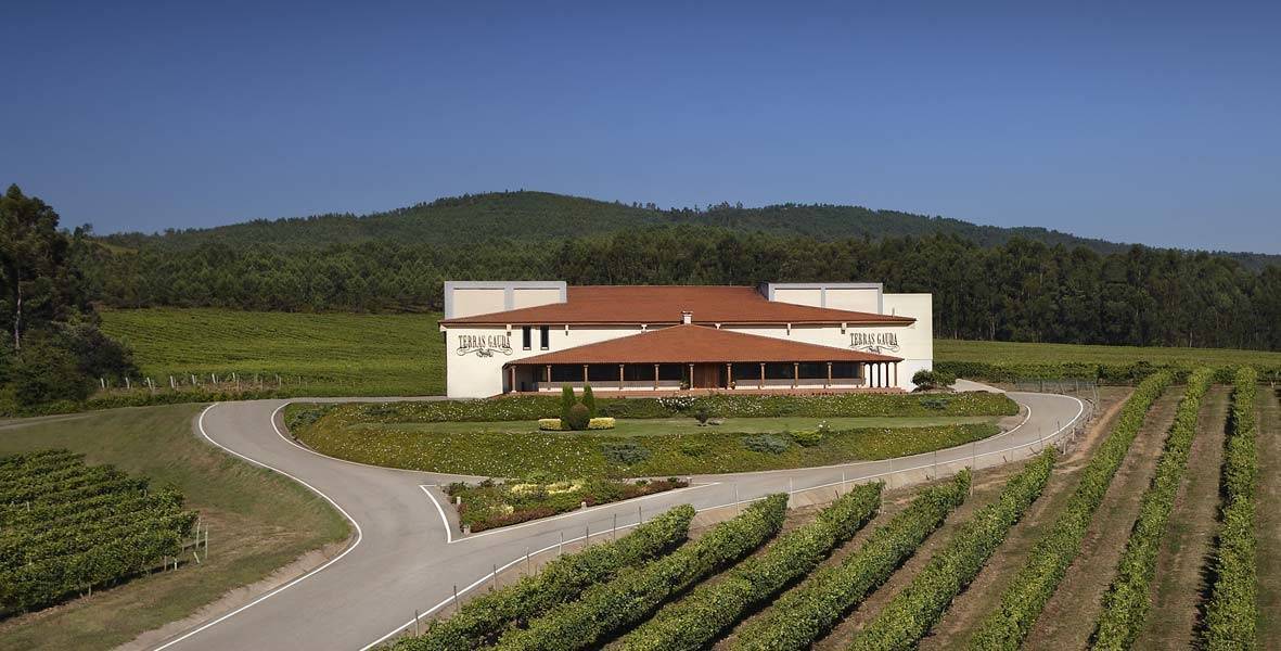 Vinos saludables con más antioxidantes a través de un nuevo proceso
