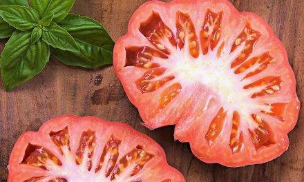 La Sunset en Estados Unidos tendrá tomate Monterosa