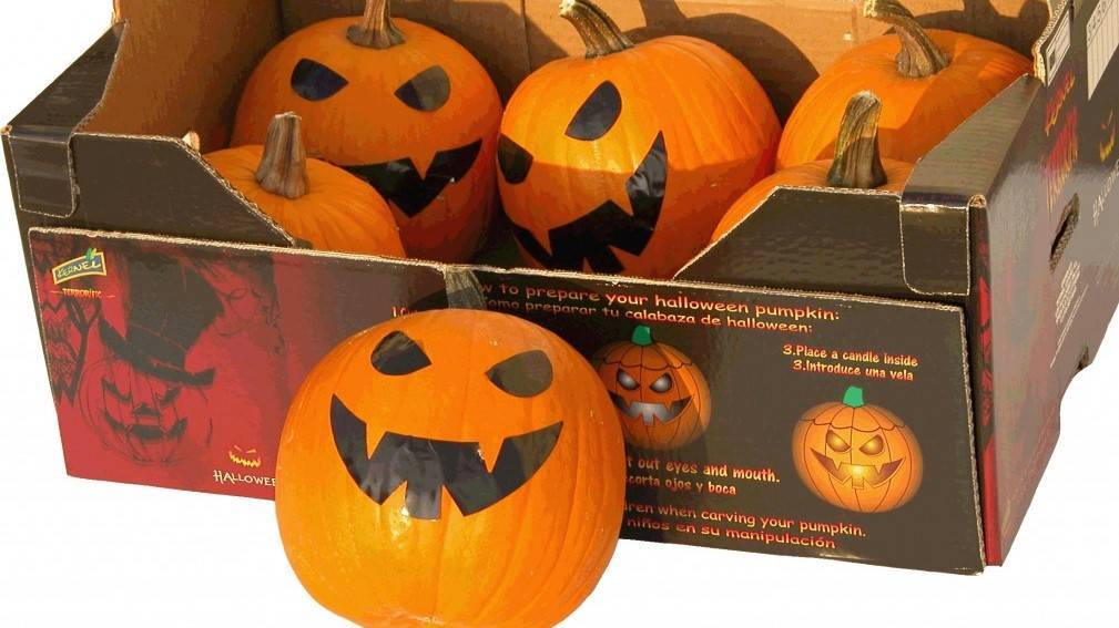 Servicios personalizados de procesados de frutas