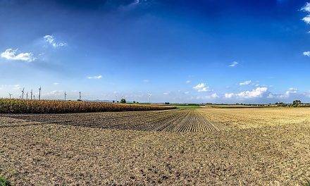 Los países más responsables medioambientalmente