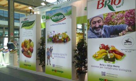 Sobre 4 tendencias de la alimentación: salud, local, comodidad y sabor (II)