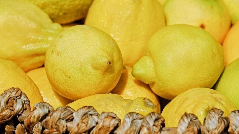 Beneficios, propiedades y usos del limón