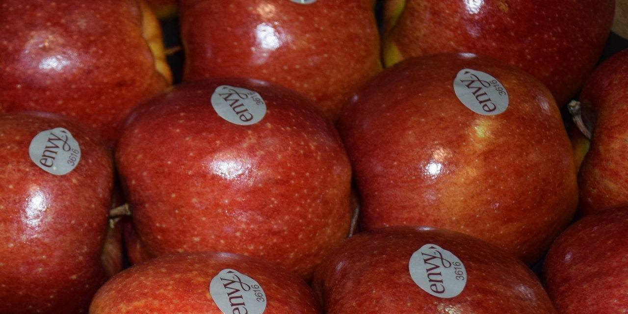 La manzana ‘SuperSweet’ envy™ incrementa su presencia en el lineal