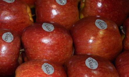 La manzana ‘SuperSweet’ envy™ incrementa su presencia en el lineal