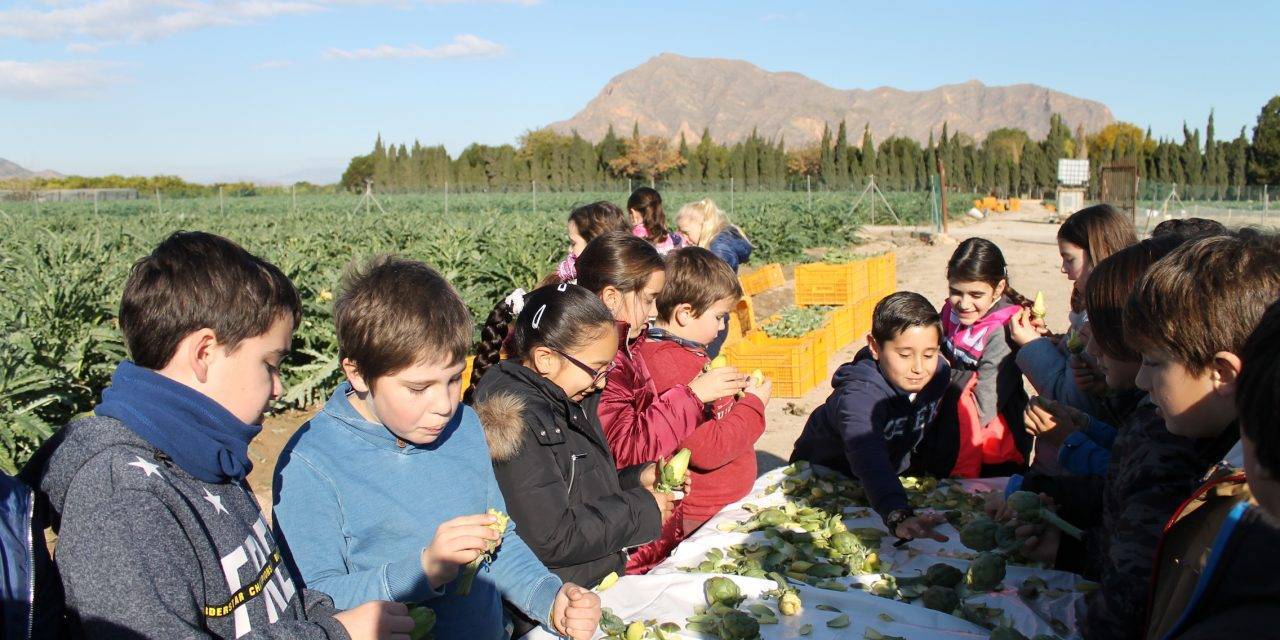 Los escolares de la Vega Baja celebran el día de la alcachofa