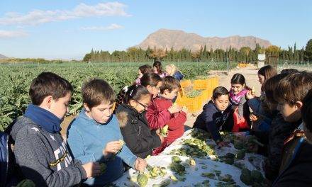 Los escolares de la Vega Baja celebran el día de la alcachofa