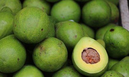Los beneficios del aguacate para nuestra salud