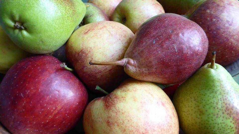 Afrucat habla del buen ritmo en la venta de fruta de pepita