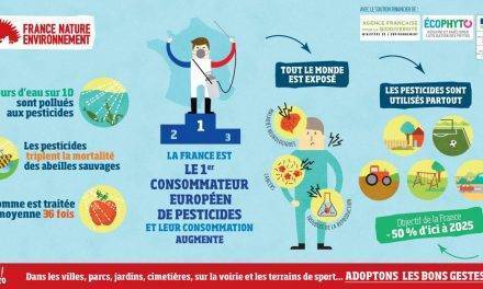 Una etiqueta con el mensaje “100% Natural”