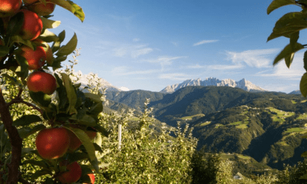 KANZI®, vuelan las ventas en la primera mitad de la temporada